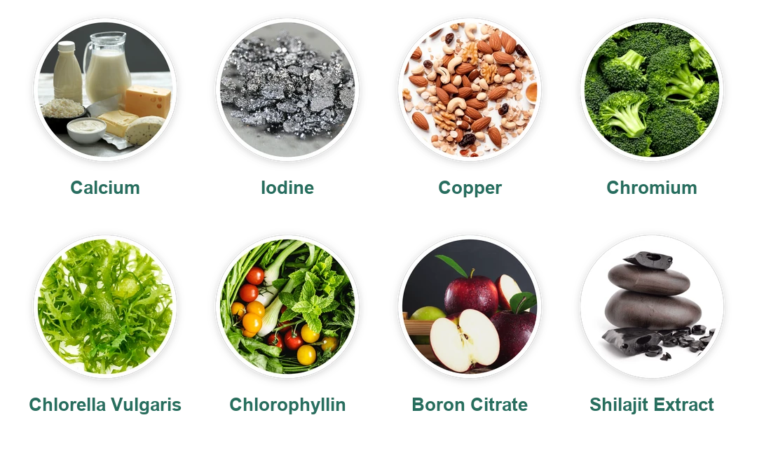 DentiCore ingredients